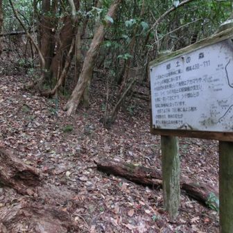 右に郷土の森の看板を過ごすと