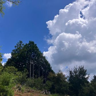 下山中。夏だ。最高の青空