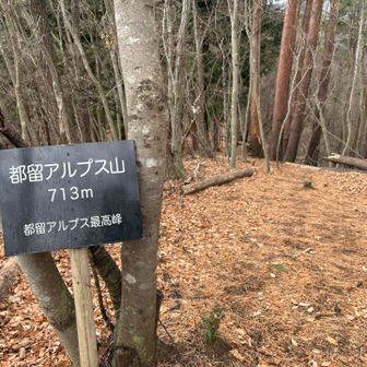 都留アルプス山山頂