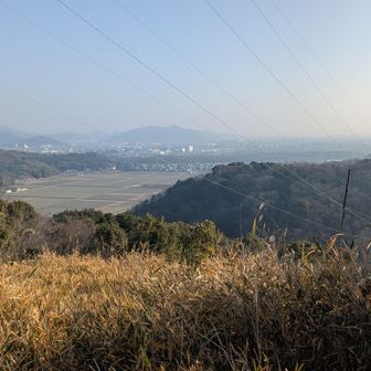 みはらしの森からの見晴らし