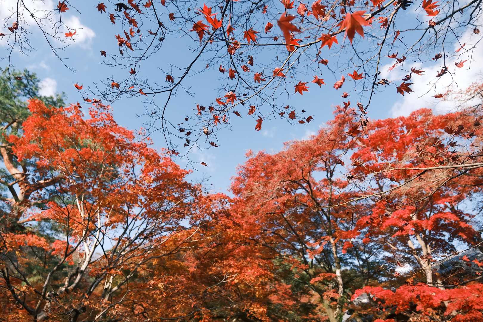 真っ赤な空