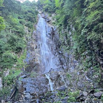 高さのある夫婦滝を鑑賞