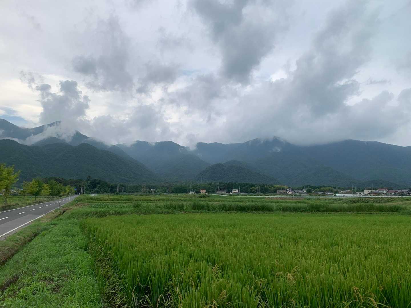 振り返る
釈迦岳あたりはまだ雲の中。でも、幽玄な霞の世界を歩けて、それはそれで良かったのではないでしょうか。というのはワタシの独りよがりでしょうか。。。