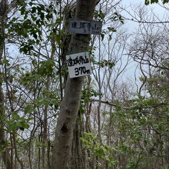 3つ目のピーク。けっこうガスってます。