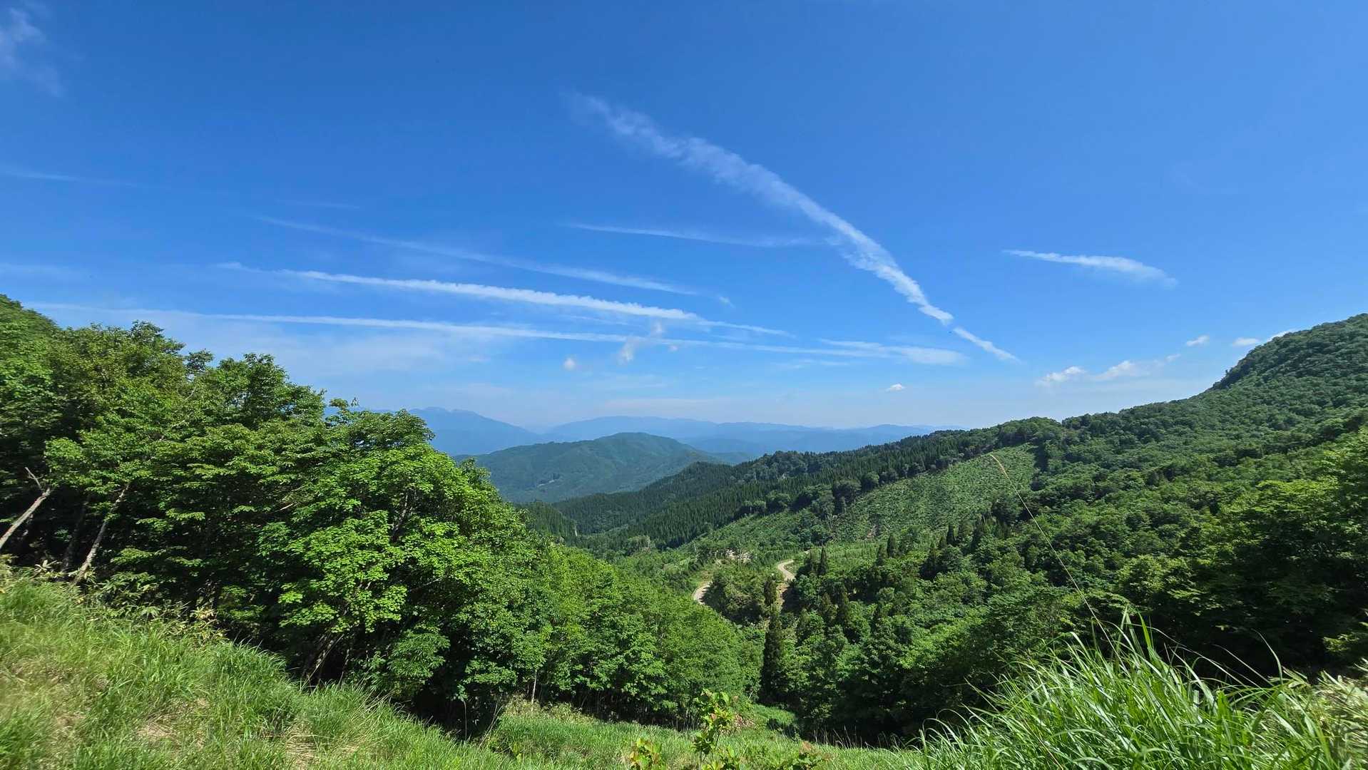 鷲ヶ岳 往復コースの写真