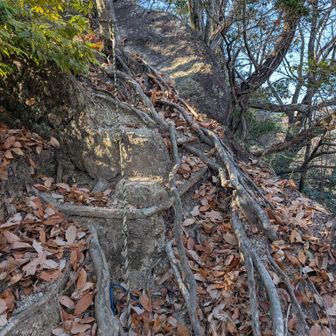 元気が出たのでこんな急登も余裕💪