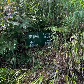分岐から、まずは芽室岳へ