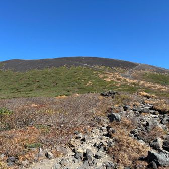山頂が近づいてきた。