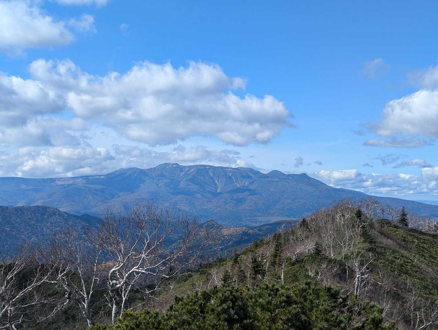 いいね👍️