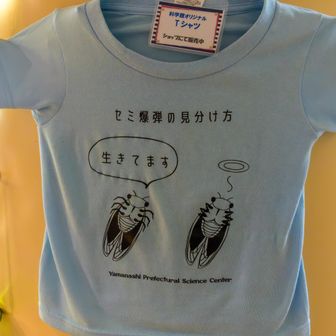 ついでに科学館も見学
セミ爆弾は脚を見ればわかるのか！
勉強になるわ！