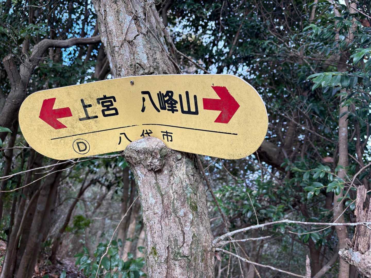ちょっと、標識持ってて

木🪾「はいよ」