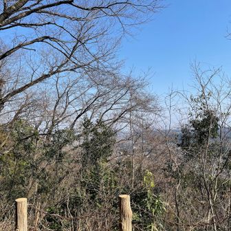 矢倉台。物見櫓が置かれていたらしい…