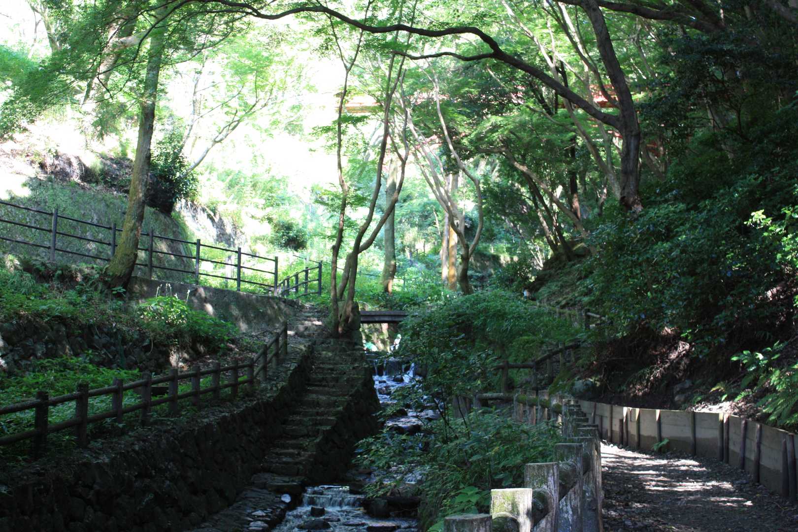 今日も猛烈に暑いけど、山頂までたどりつけるのやら💦