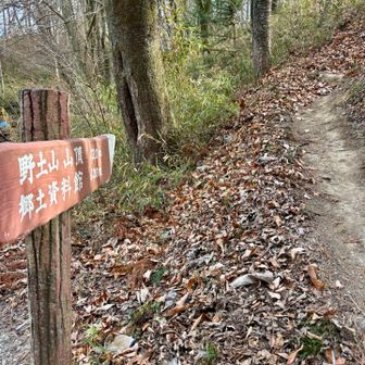 以前来たときこの道標が目に入り、今回登ってみた。