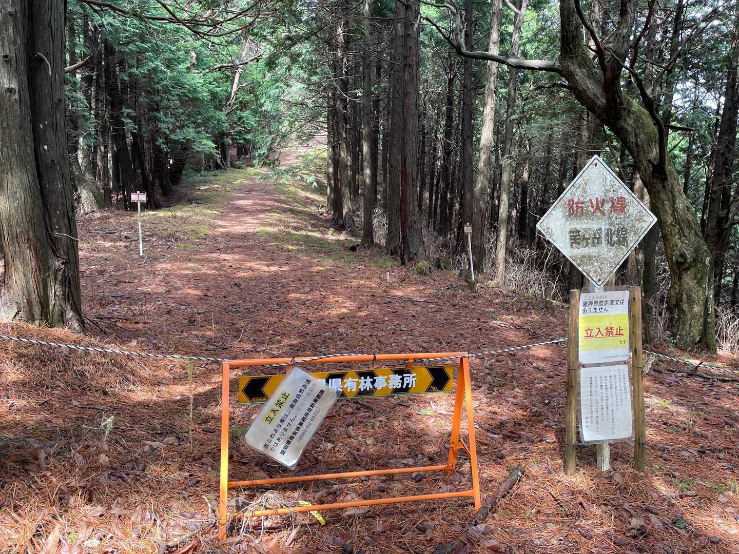 上がったところから禁止区間です。
危ないところもなく，広々明るい道なのに🤣