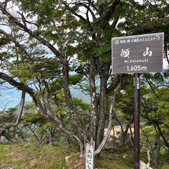 ついたー！！
傾山⛰️
1605m

登り始めてから4:50もかかった💦