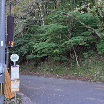 高住神社の気温がなんと１３度！どうりで寒いはずじゃ！