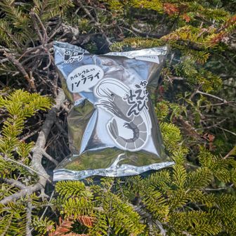 山友さんのかっぱえびせん