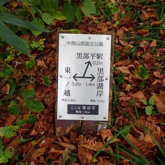 ここから先の道も良き