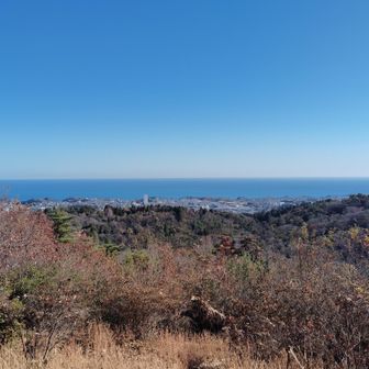 小木津山山頂より