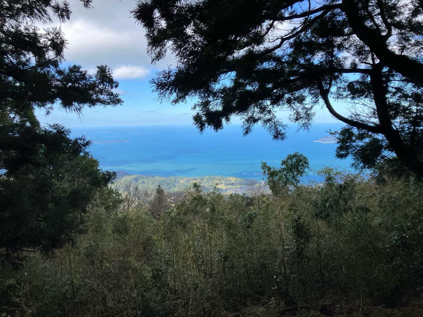 中村登山口-十坊山-白木峠-浮嶽 周回コースの写真
