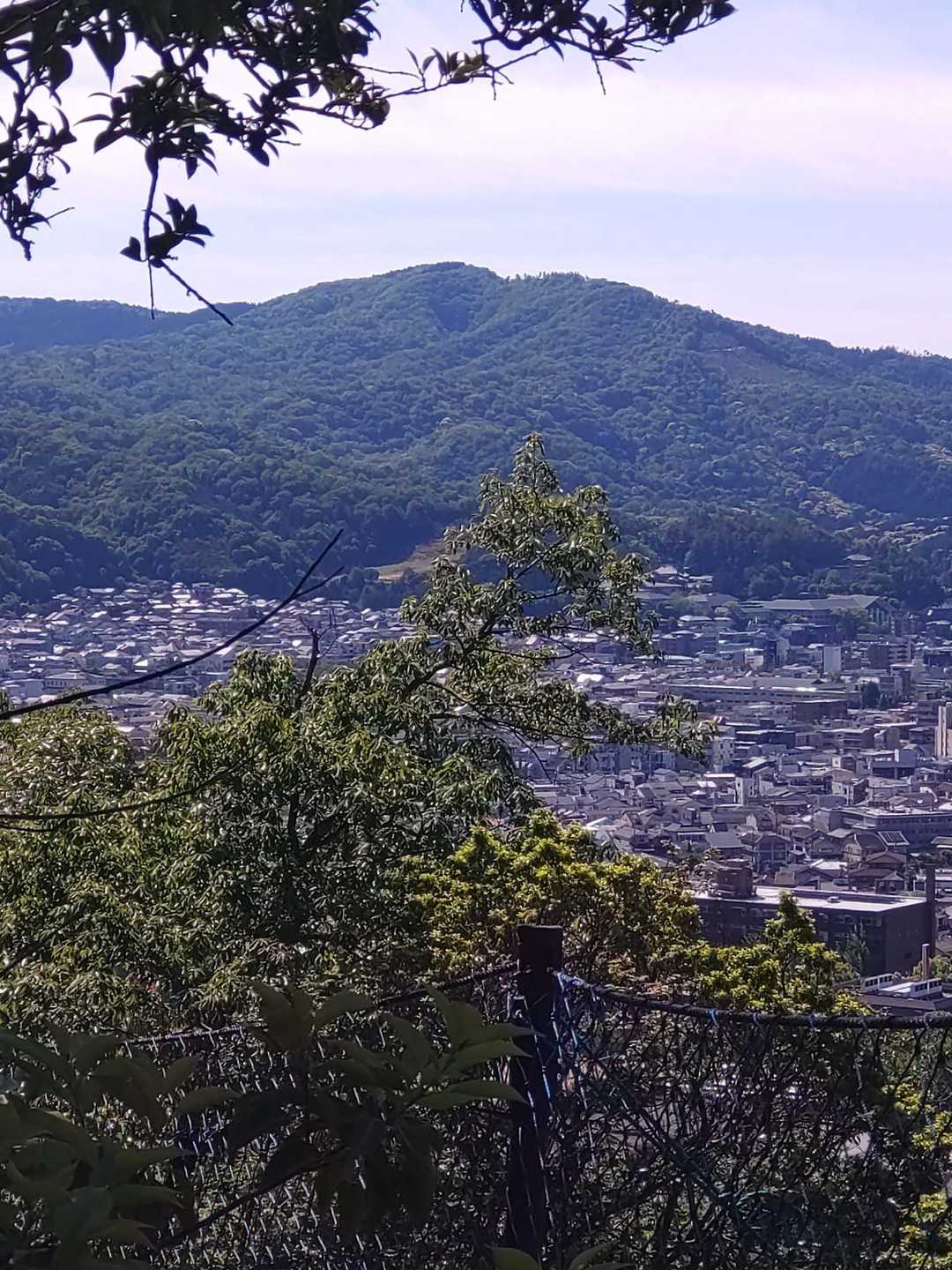 山頂からの眺め✨