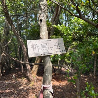 新烏ヶ岳ピーク✨眺望は…ないです😅