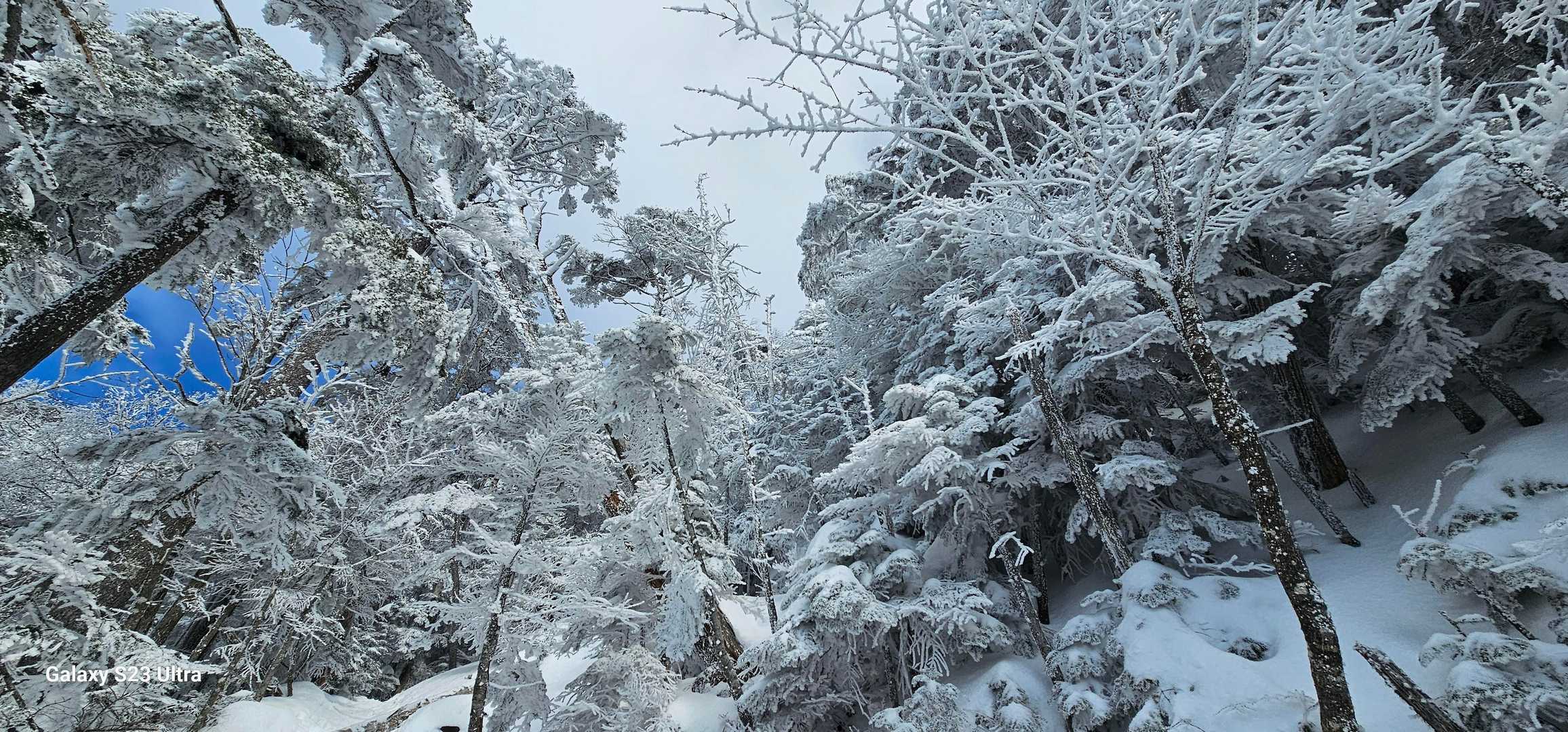ヤバっ！