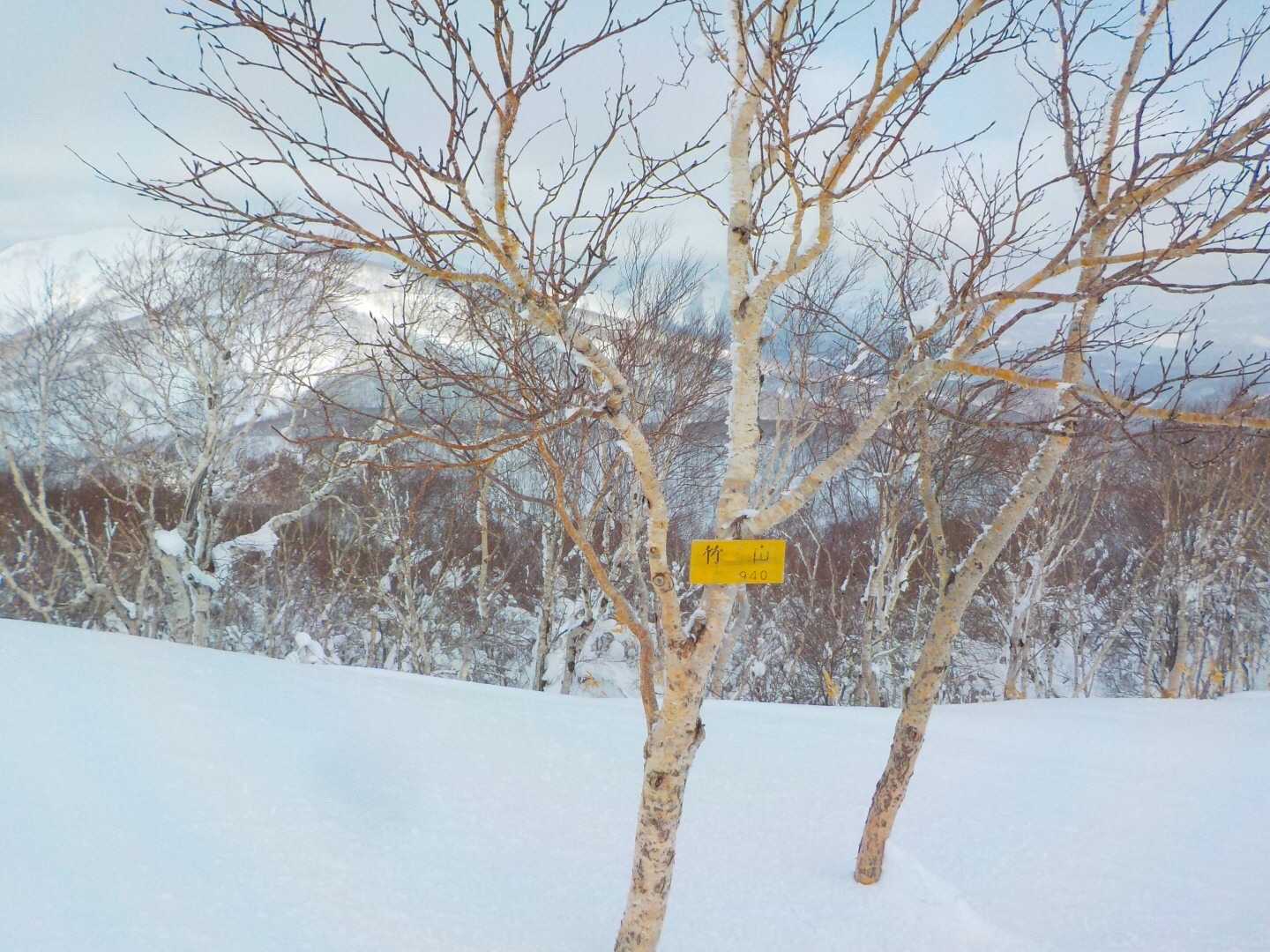 山頂❣️