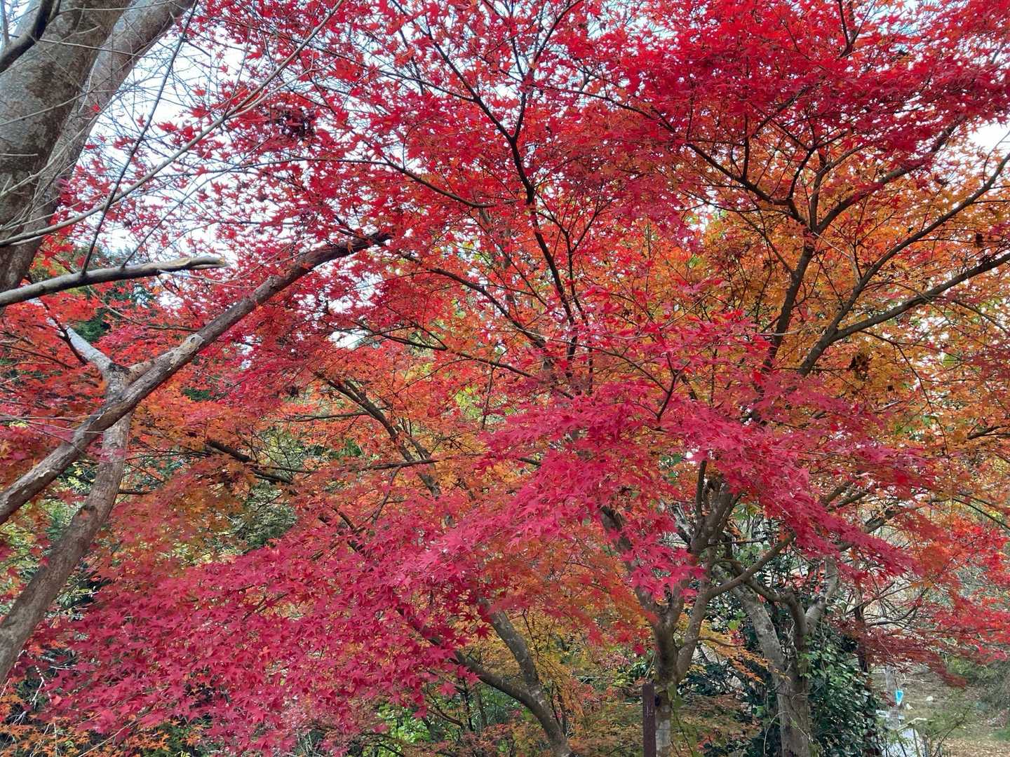 美しくて険しい明神山でした🤯

お疲れSUN☀️