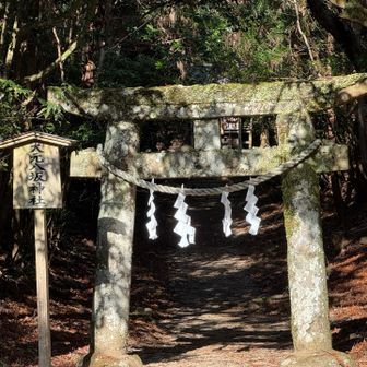 日が当たって良い感じ