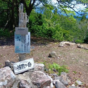 此処迄ヤツとは未だ出会わず..
(此処迄も)ザックを下に置くのは躊躇われ..💦