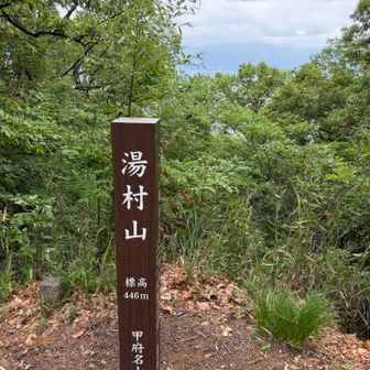 湯村山ピーク