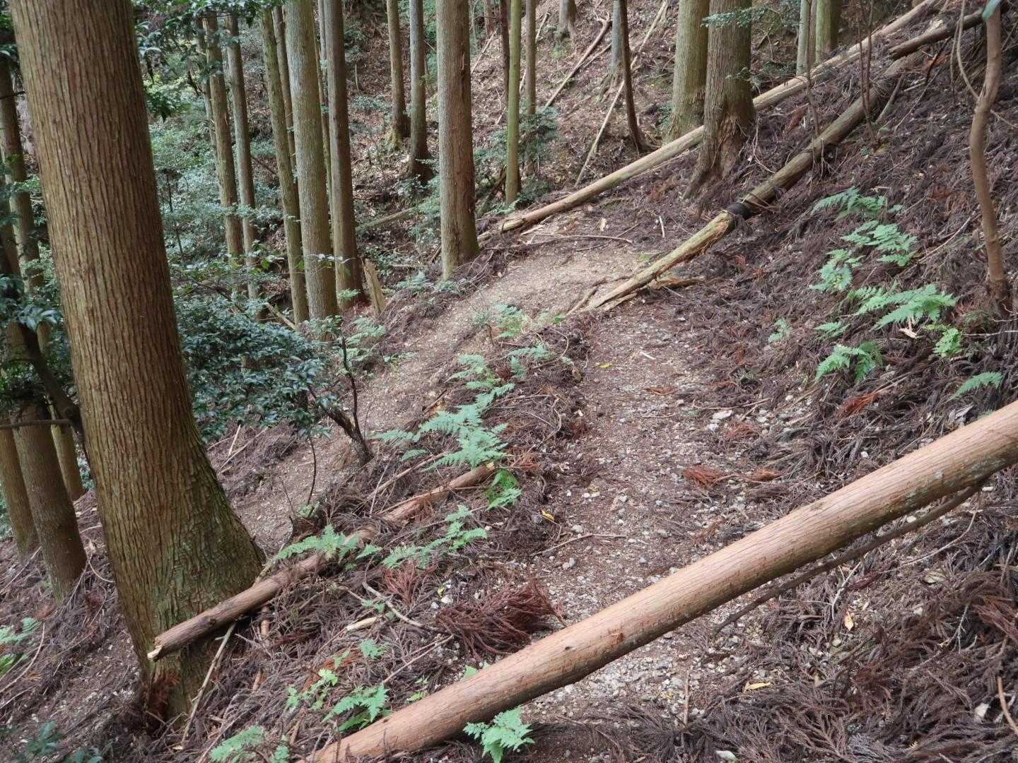 阪急嵐山駅-松尾山-嵐山-烏ヶ岳-新烏ヶ岳-トロッコ保津峡 縦走コースの写真