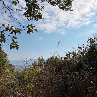 以前に比べて 眺望がほとんどなくなりました