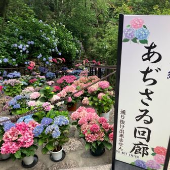 階段の上のところから📸