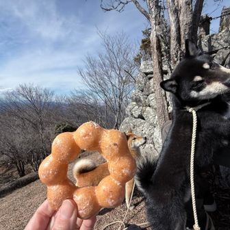 ミスド6個持ち込む🤭
