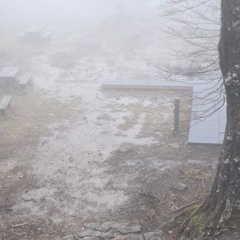 もちろん誰もいない