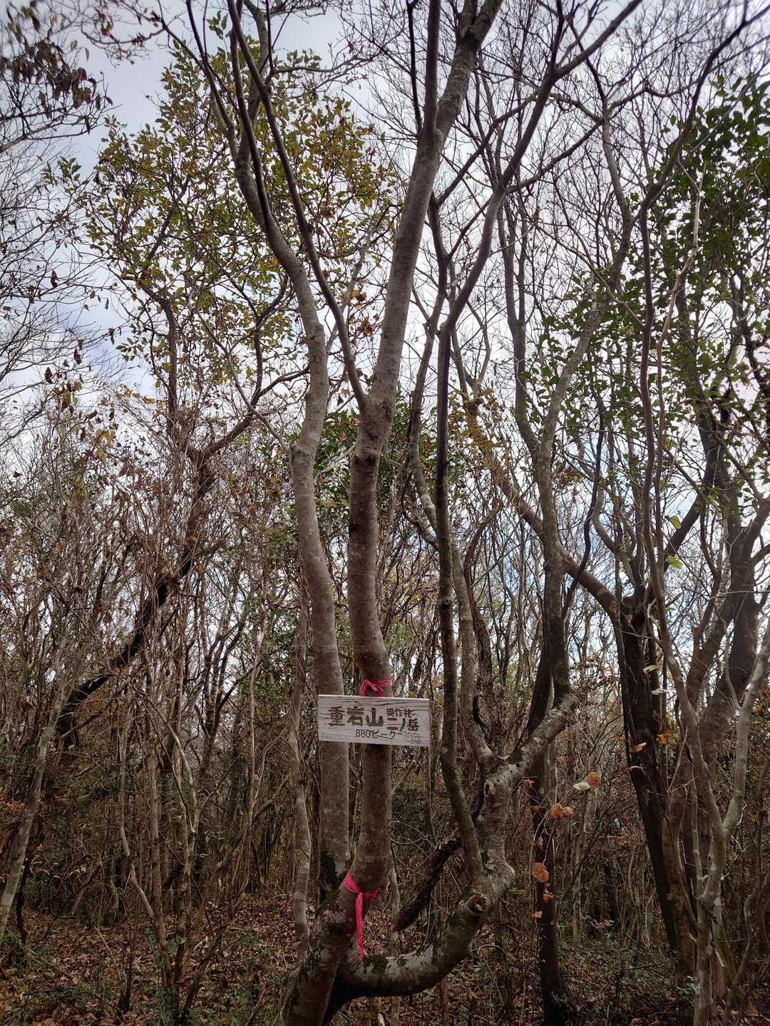 奥作礼二ノ岳⛰️