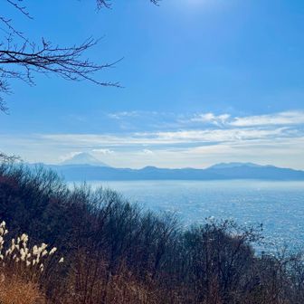 風も無くて気持ち良い天気。