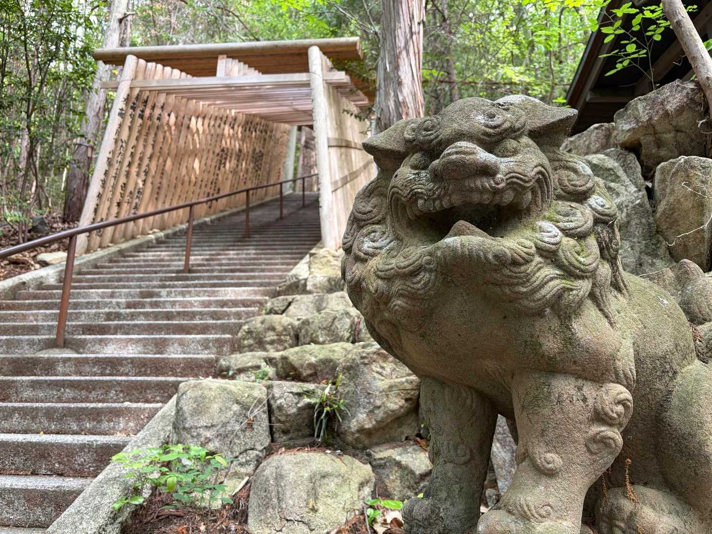 太郎坊山 東近江トレイルルート / tezshinの登山データ | YAMAP / ヤマップ