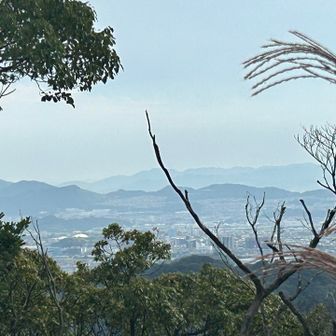 井野山方面