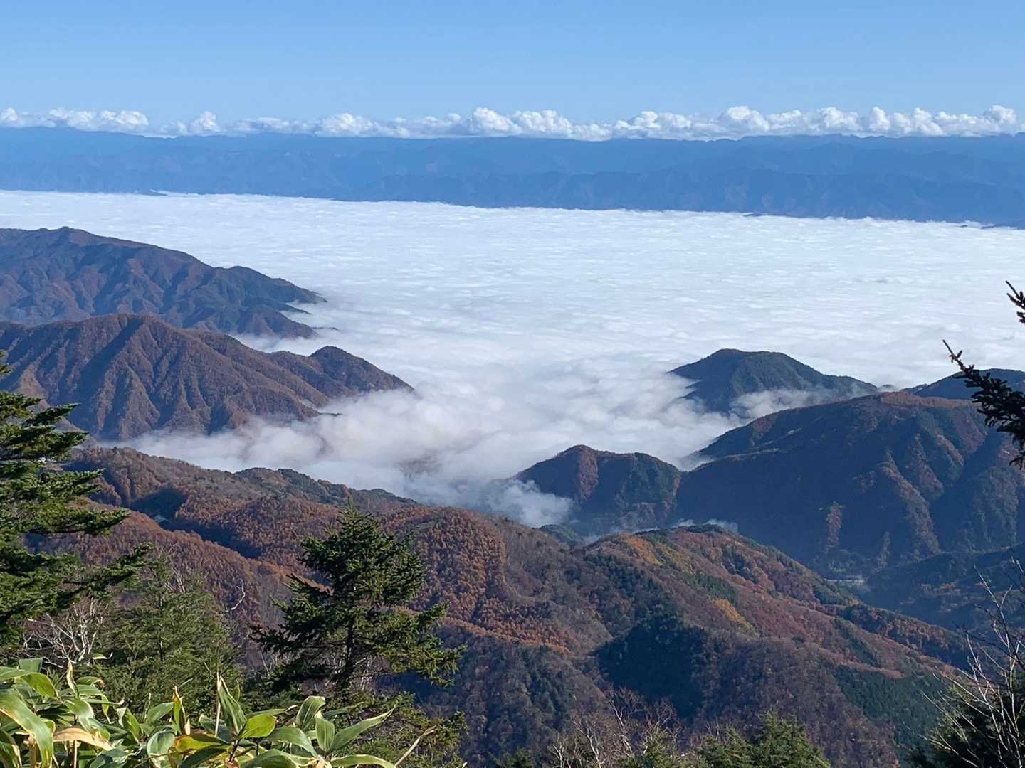 雲海が凄いです