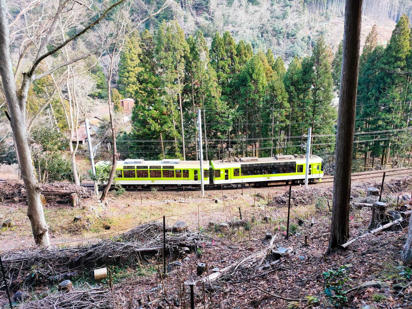 ちょうど、展望列車が👏