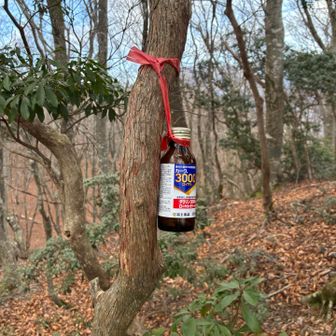 ゴミは持ち帰ろうね🗑️