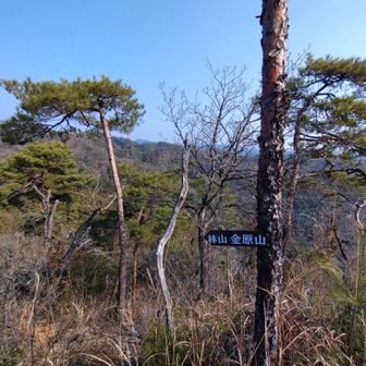林山まではまだまだ💦