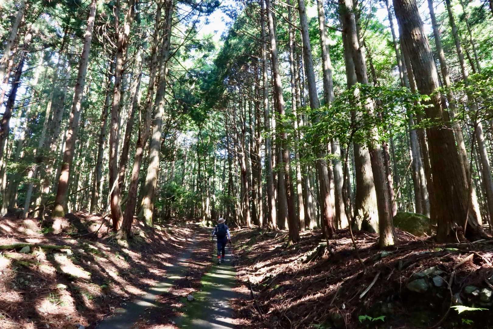 イイ感じ😚