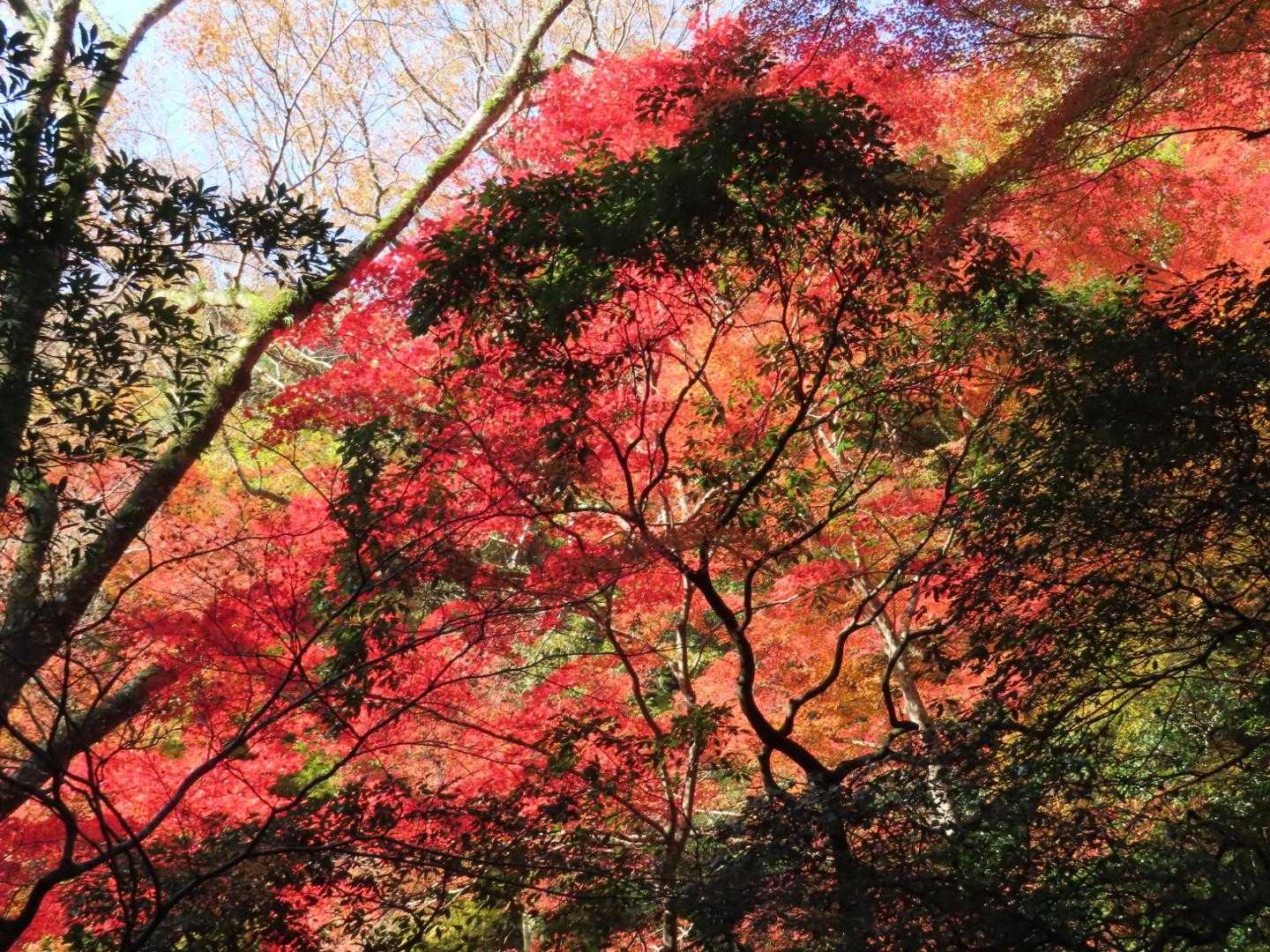 三国峠-石子詰登山口 周回コースの写真