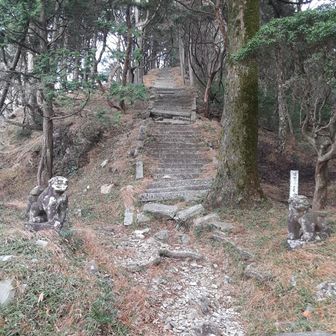 歴史を感じる石段を二対の狛犬が上下でお迎えです！