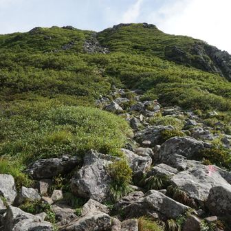 山頂までもう少し。